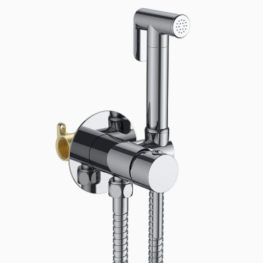 ব্রাস বিডেট স্প্রে সেট